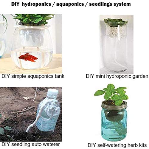 How To Build A Hydroponic System Out Of Water Bottles
