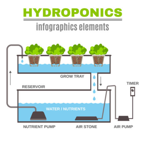 How To Setup Hydroponic Garden