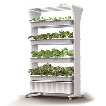 Hydroponic Grow System Indoor