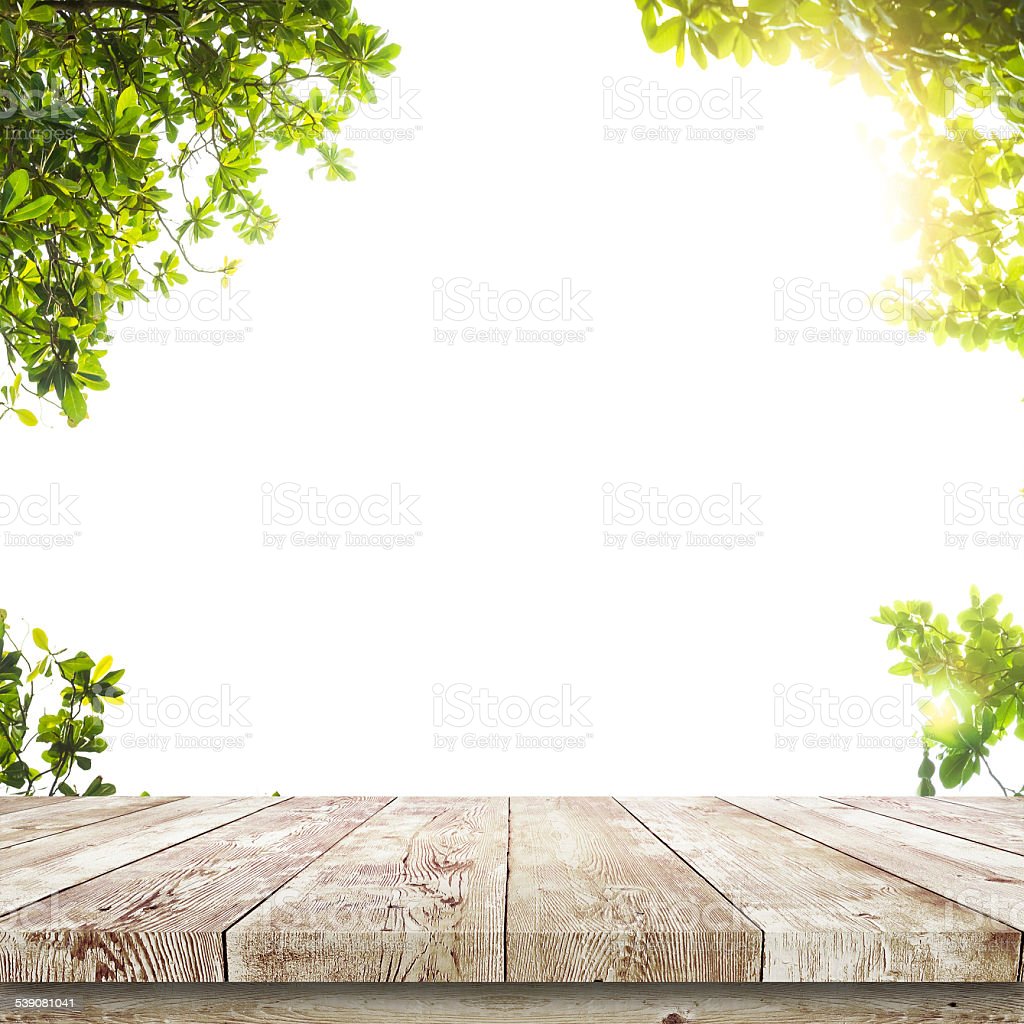 Nature Background Hd For Editing